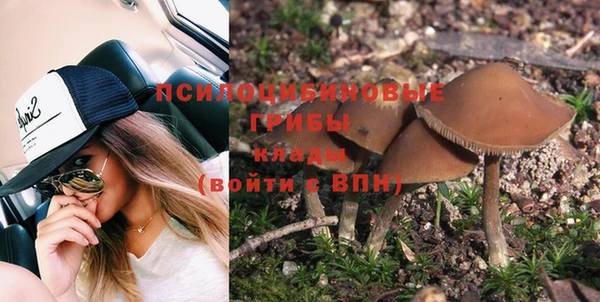 дурь Абаза