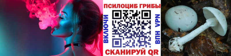 Псилоцибиновые грибы Magic Shrooms  наркота  Алапаевск 