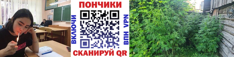 Бошки Шишки тримм  Алапаевск 